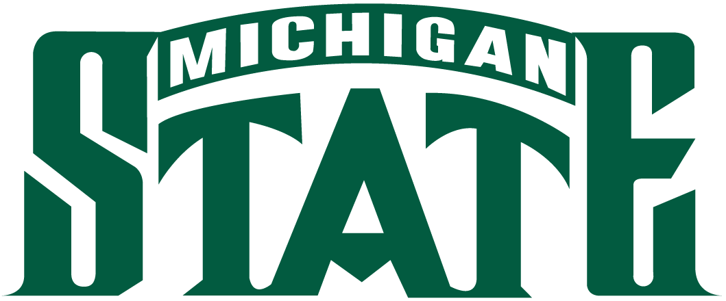 Michigan State Spartans 1987-Pres Wordmark Logo DIY iron on transfer (heat transfer)